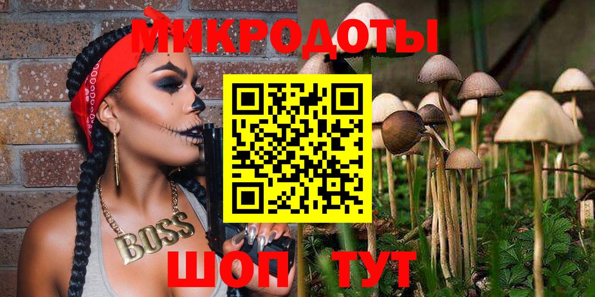 Кострома  Галлюциногенные грибы Psilocybe  Вход с VPN 