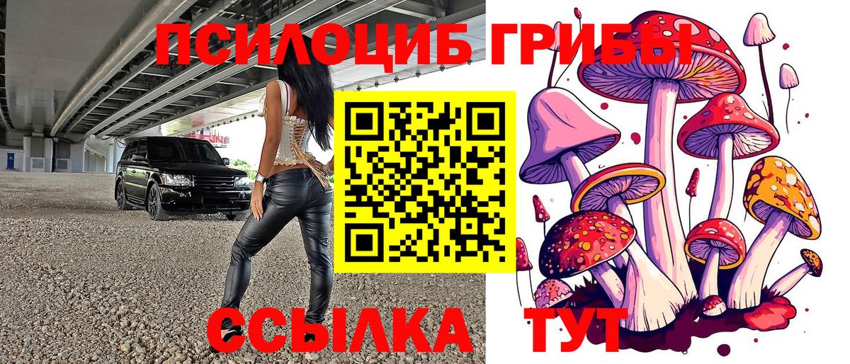 Псилоцибиновые грибы прущие грибы Кострома